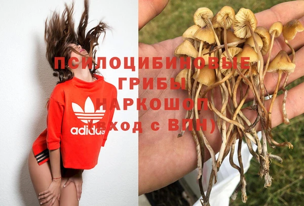 бутират Арсеньев