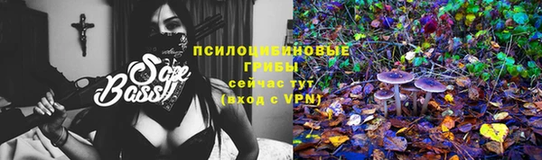 бутират Арсеньев